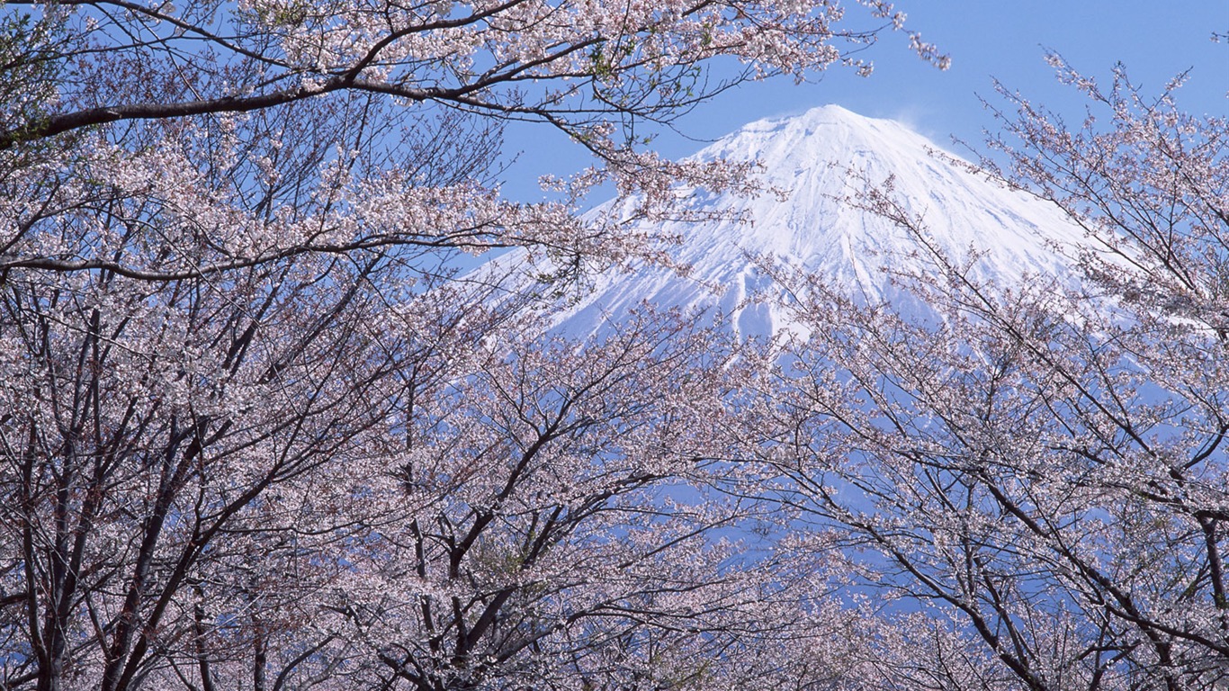 Гора Фудзи, Япония обои (2) #9 - 1366x768