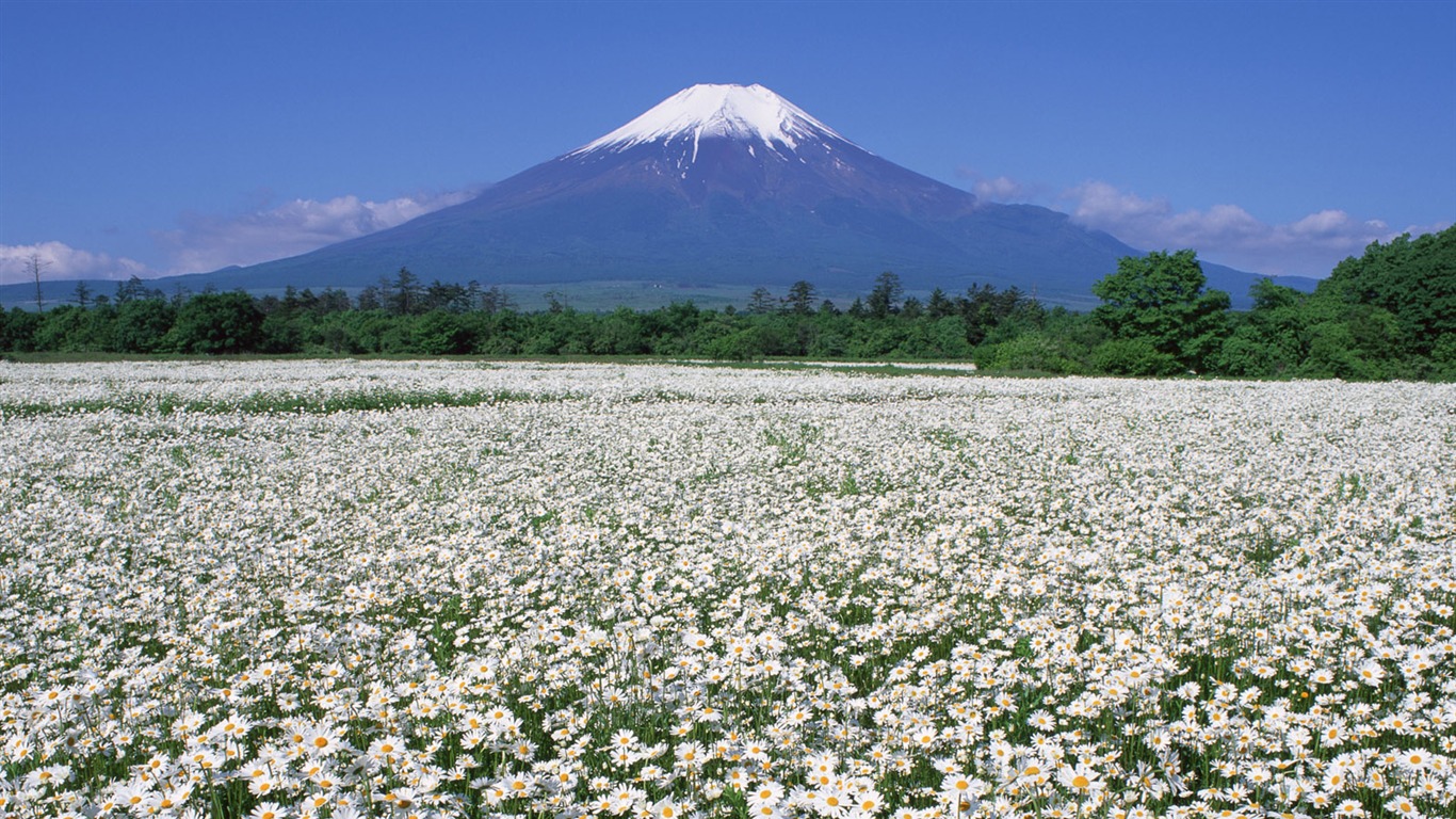 Гора Фудзи, Япония обои (2) #15 - 1366x768