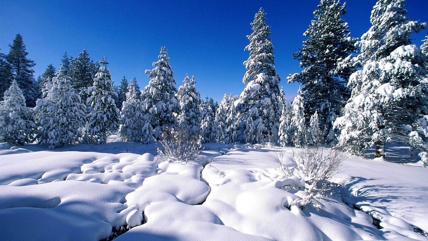 Invierno Nieve fondo de pantalla (2) #4 - 1366x768