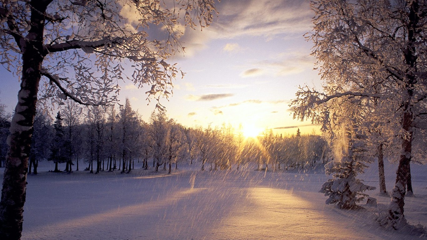 Invierno Nieve fondo de pantalla (2) #8 - 1366x768