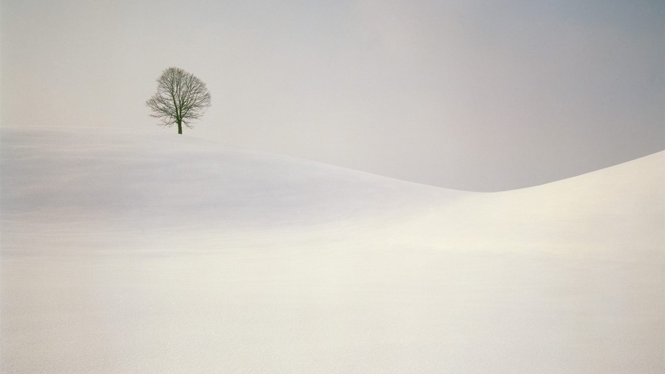 Invierno Nieve fondo de pantalla (2) #17 - 1366x768