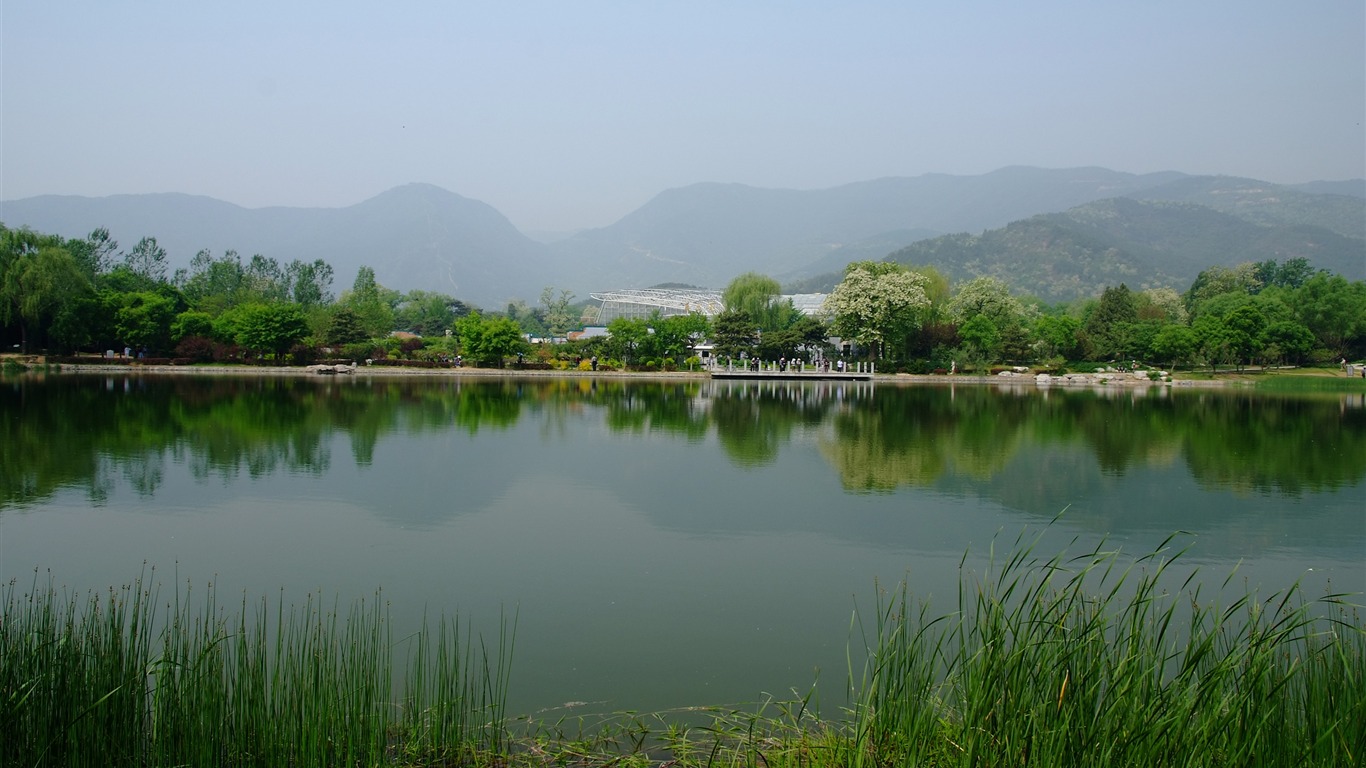初夏的香山植物园 (螺纹钢作品)23 - 1366x768