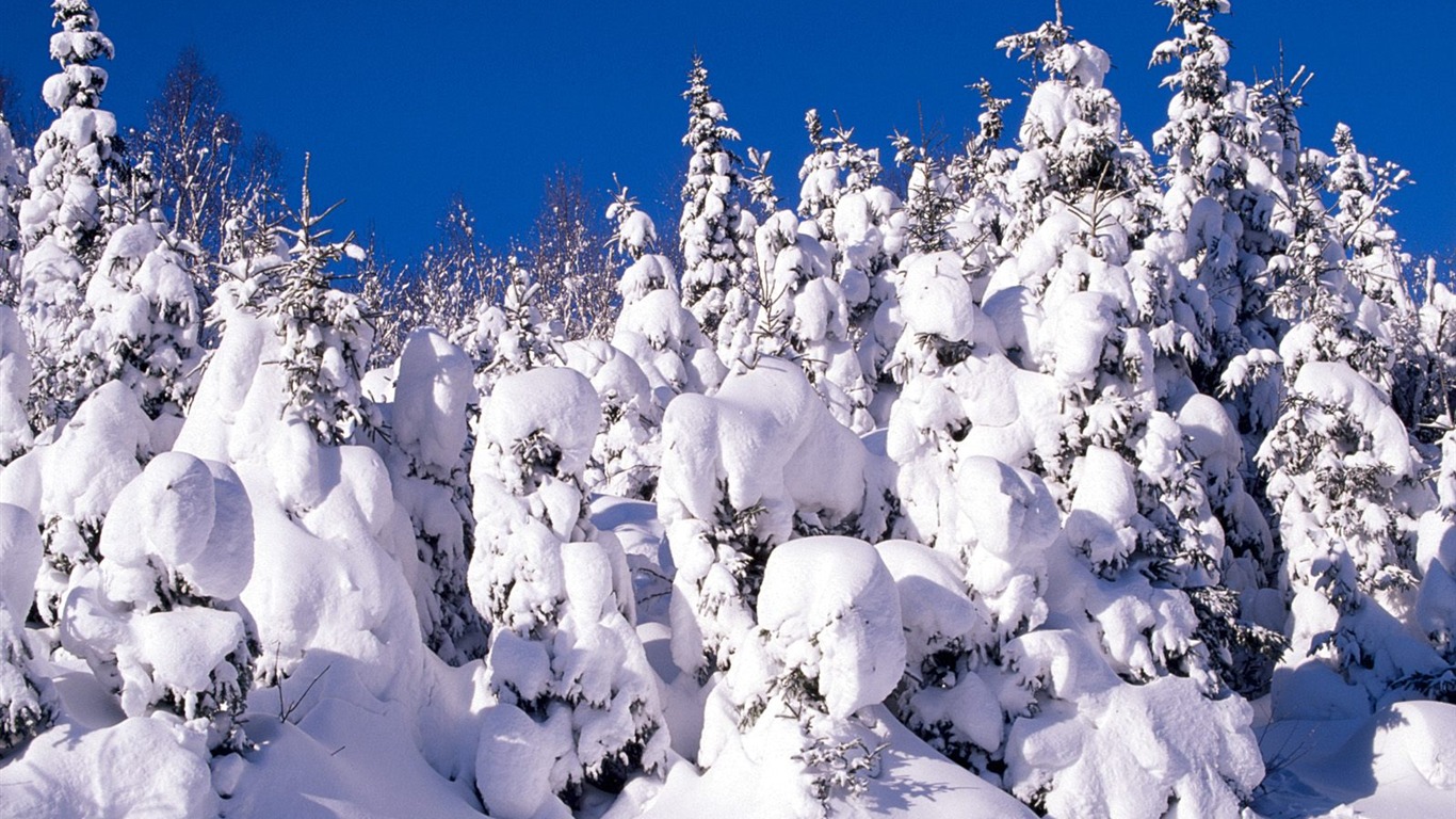 Invierno Nieve fondo de pantalla (3) #2 - 1366x768