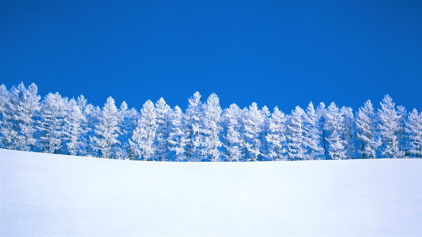 冬天雪景壁纸(三)8 - 1366x768