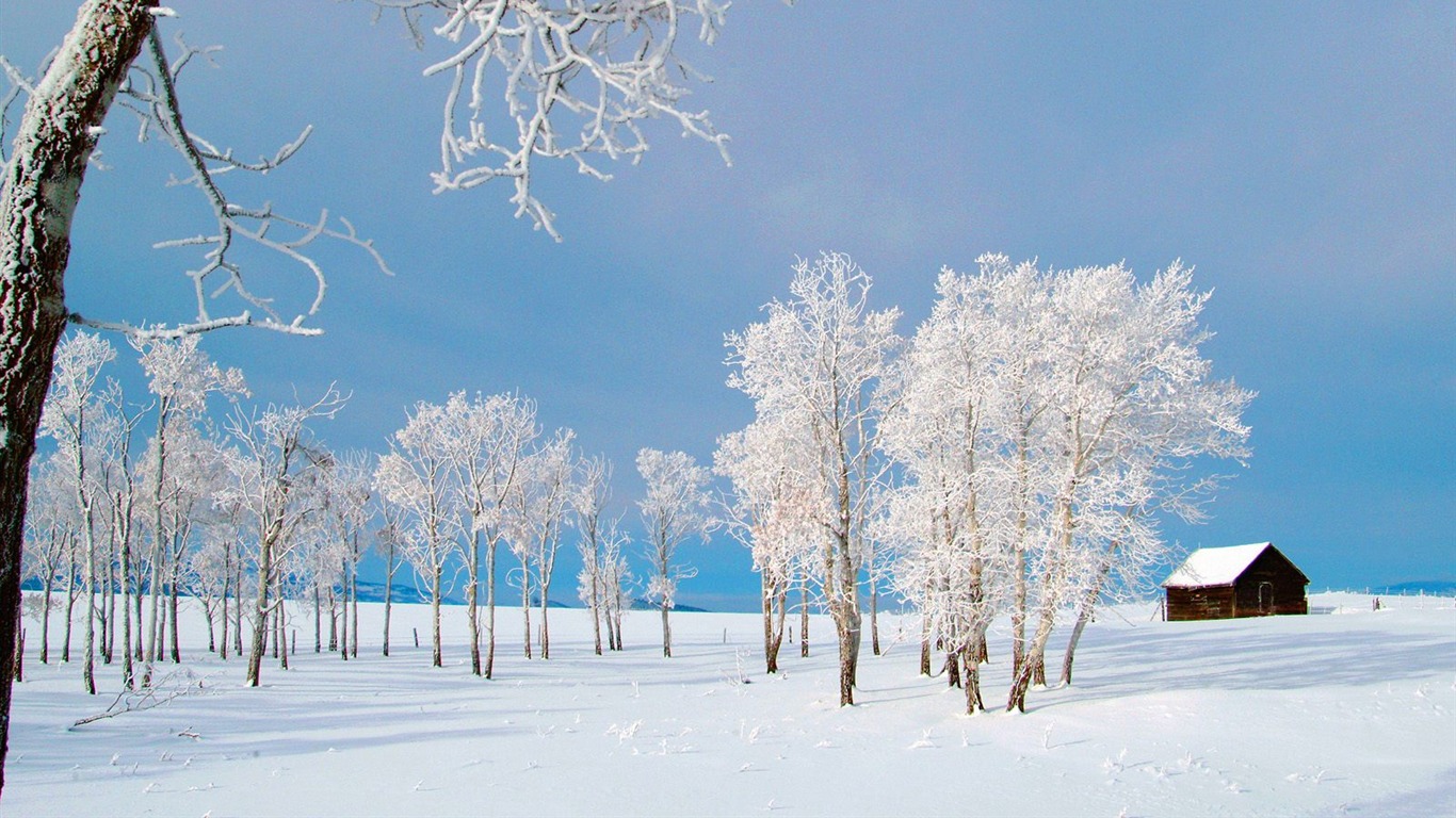 Invierno Nieve fondo de pantalla (3) #10 - 1366x768