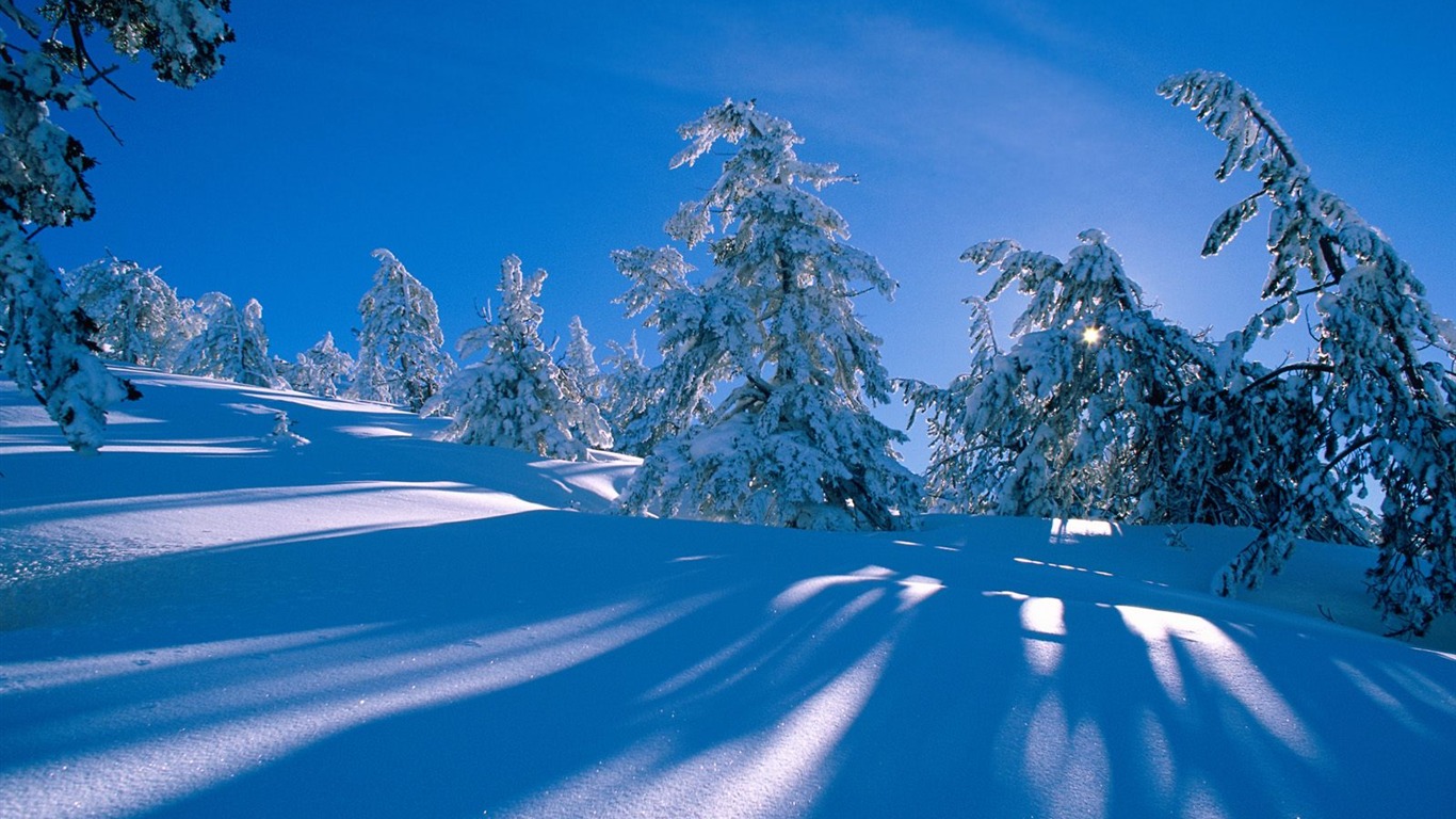 Invierno Nieve fondo de pantalla (3) #14 - 1366x768