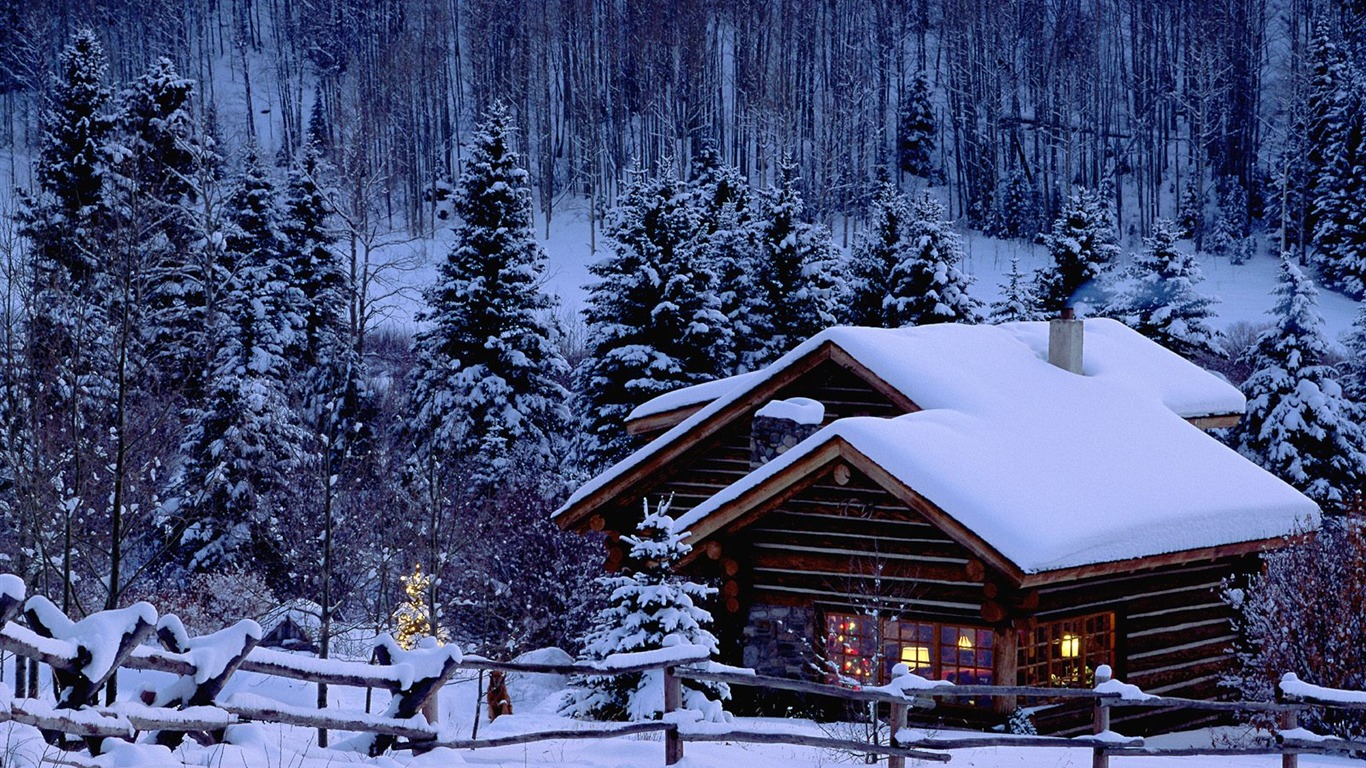 Winter Snow wallpaper (3) #15 - 1366x768