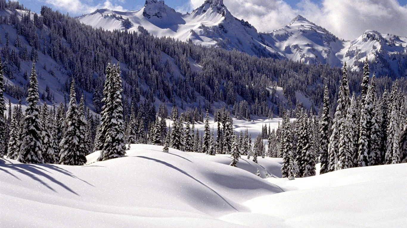 Invierno Nieve fondo de pantalla (3) #18 - 1366x768