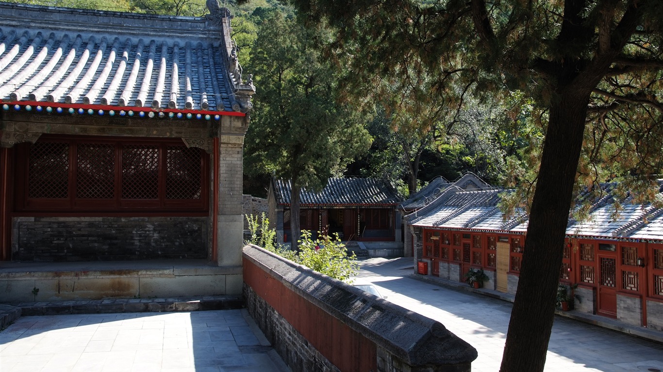 자선 Jingxi 사원의 기념물 (철근 작품) #22 - 1366x768