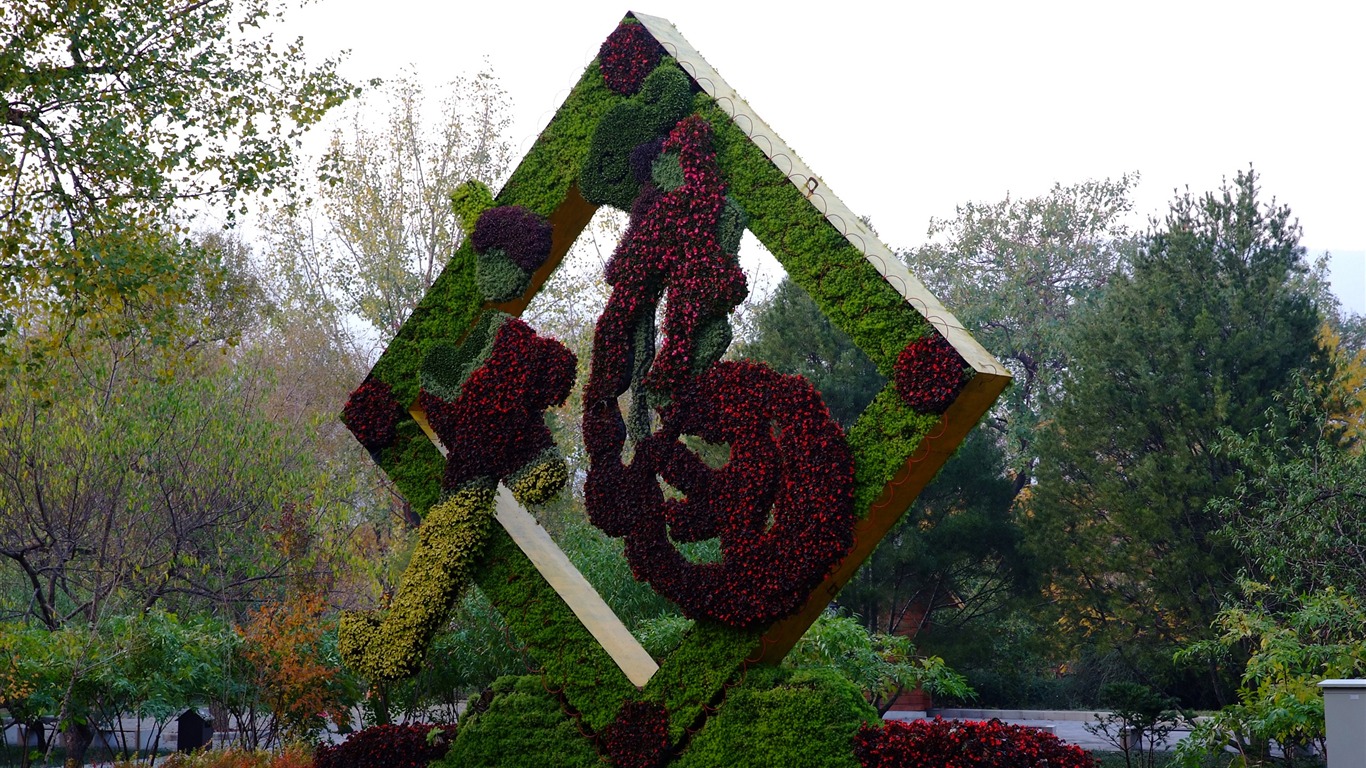 秋日的香山植物园 (螺纹钢作品)10 - 1366x768