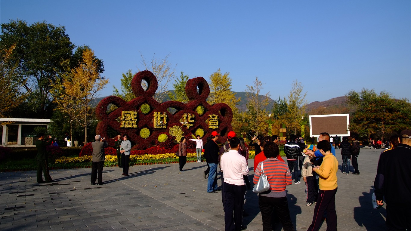 秋日的香山植物园 (螺纹钢作品)11 - 1366x768
