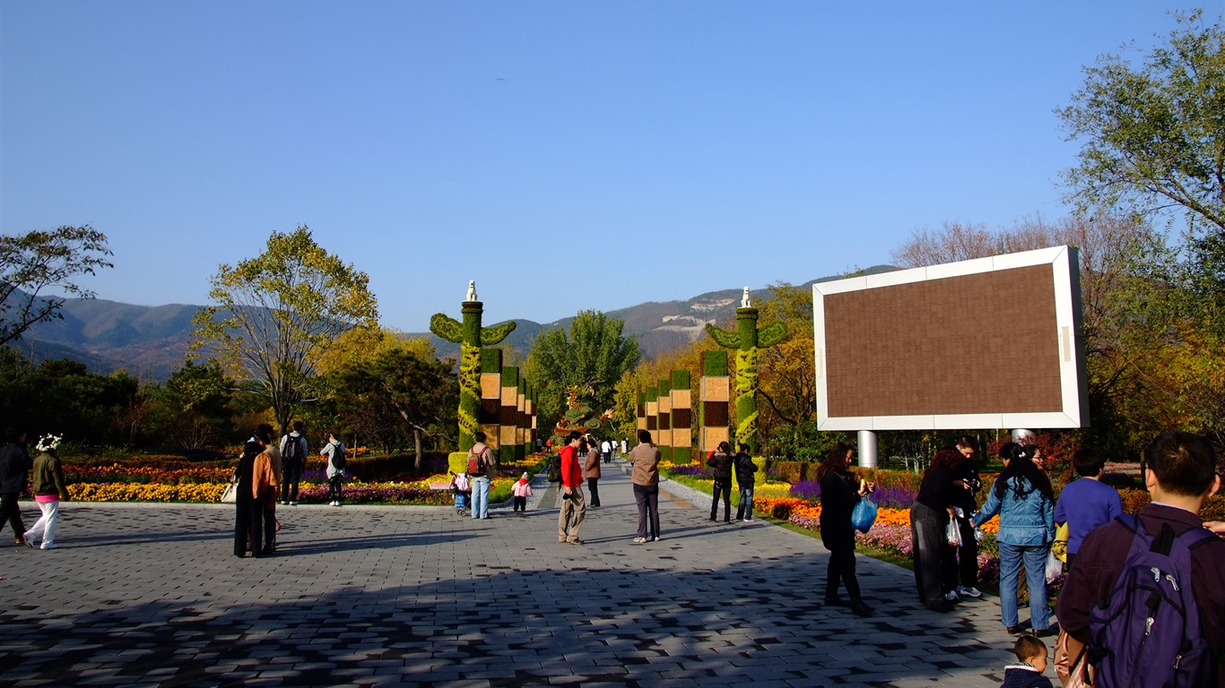 秋日的香山植物园 (螺纹钢作品)12 - 1366x768