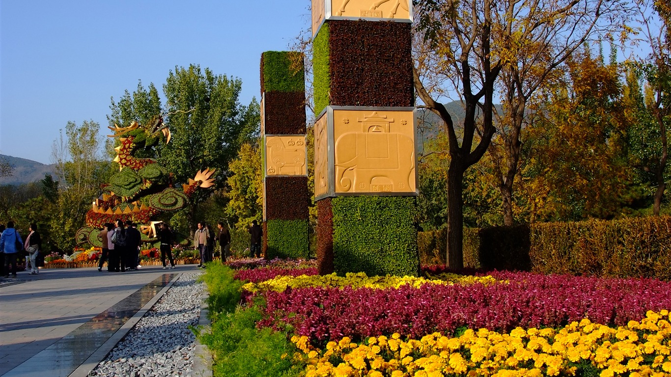 秋日的香山植物园 (螺纹钢作品)13 - 1366x768
