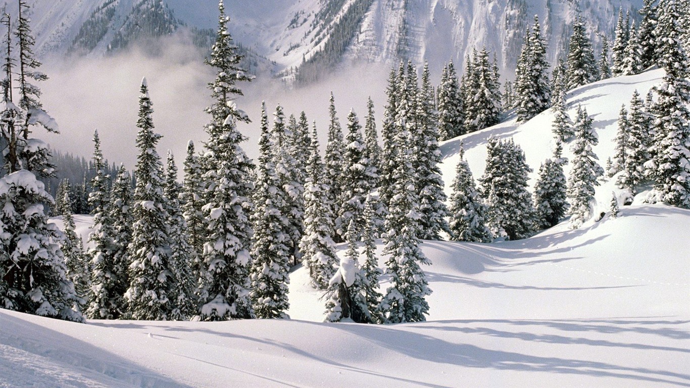 Snow Wallpaper Sammlung (4) #13 - 1366x768