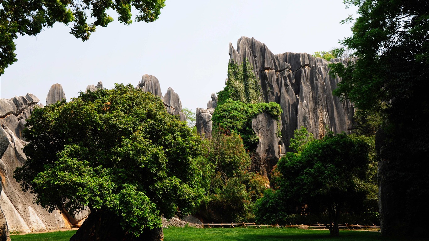 Bosque de Piedras de Yunnan en línea (1) (obras Khitan lobo) #4 - 1366x768
