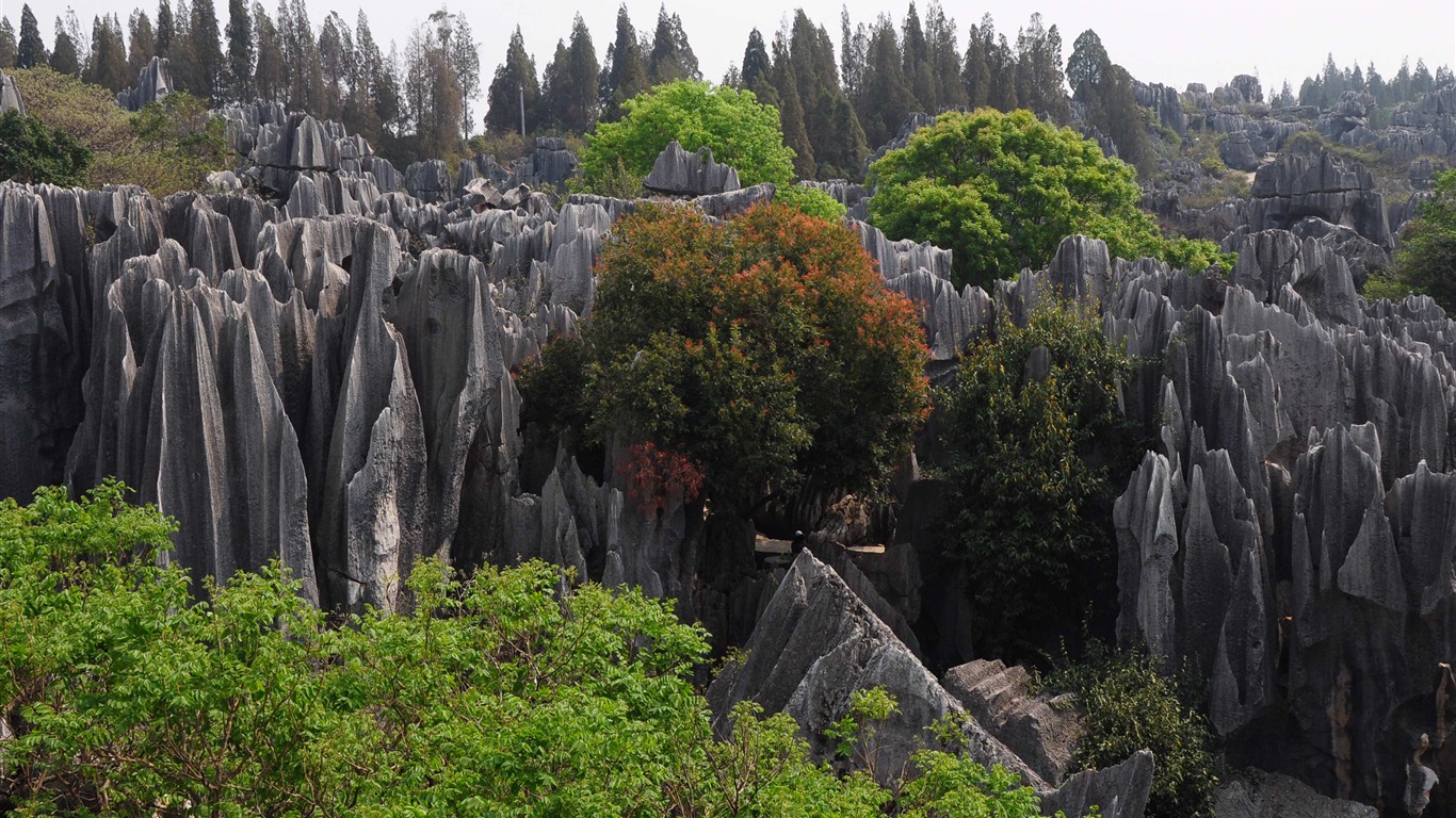 Bosque de Piedras de Yunnan en línea (1) (obras Khitan lobo) #10 - 1366x768