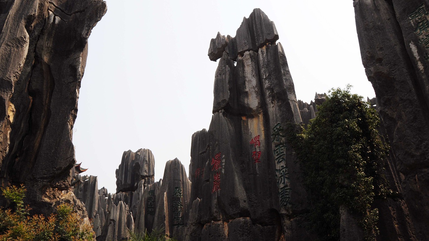Bosque de Piedras de Yunnan en línea (1) (obras Khitan lobo) #14 - 1366x768