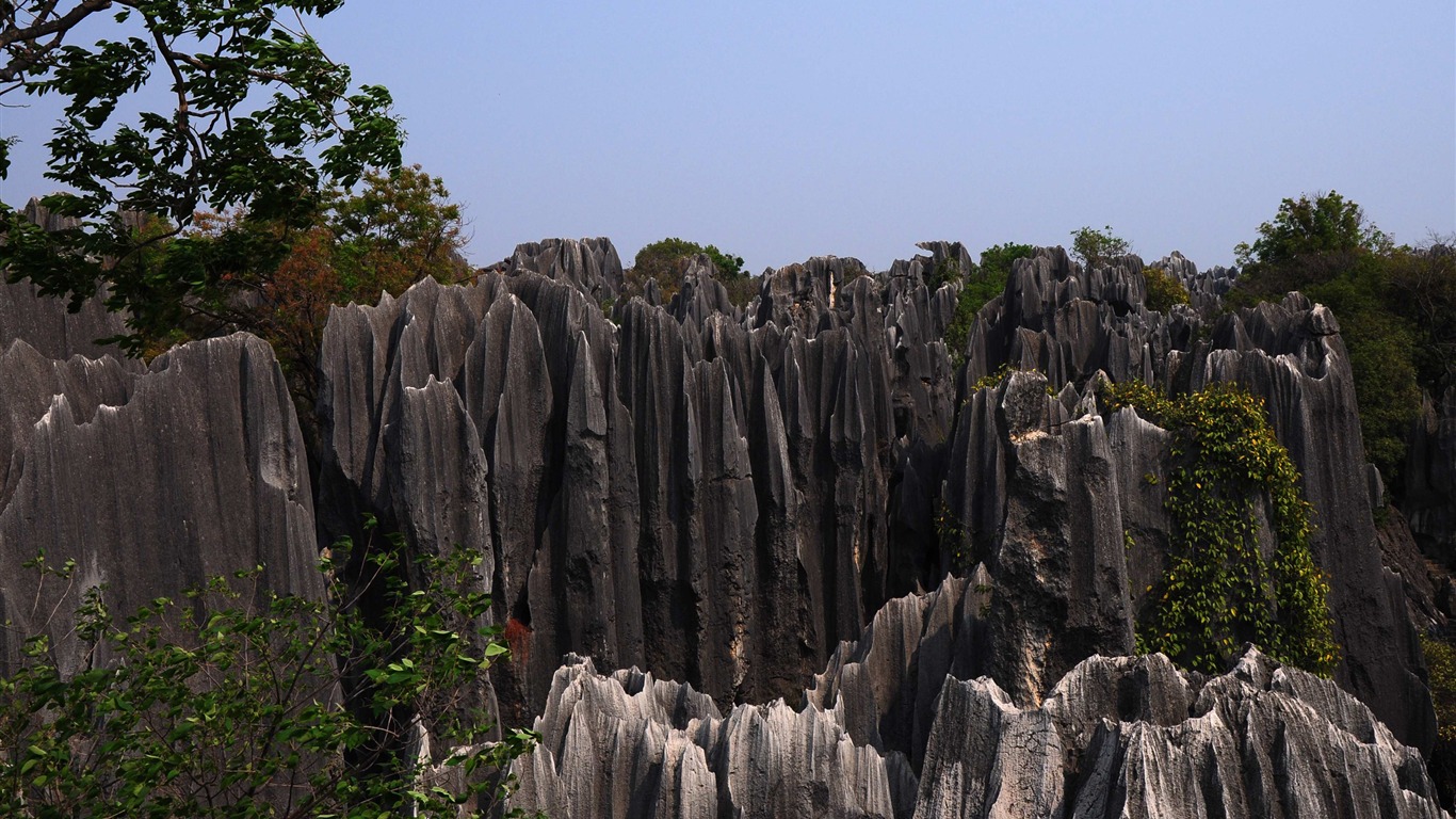 Bosque de Piedras de Yunnan en línea (1) (obras Khitan lobo) #19 - 1366x768