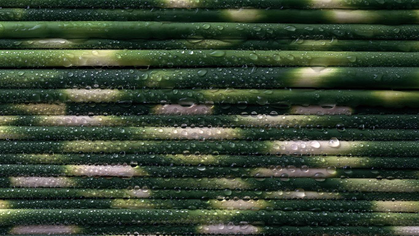 1680 fleurs vertes feuilles fond d'écran (3) #7 - 1366x768