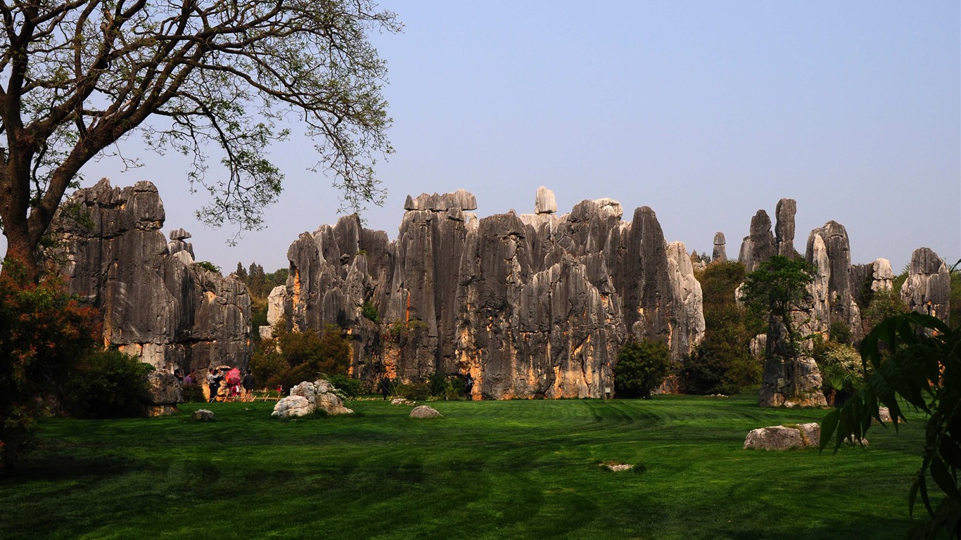 Каменный лес в провинции Юньнань линии (2) (работ киданей волка) #20 - 1366x768