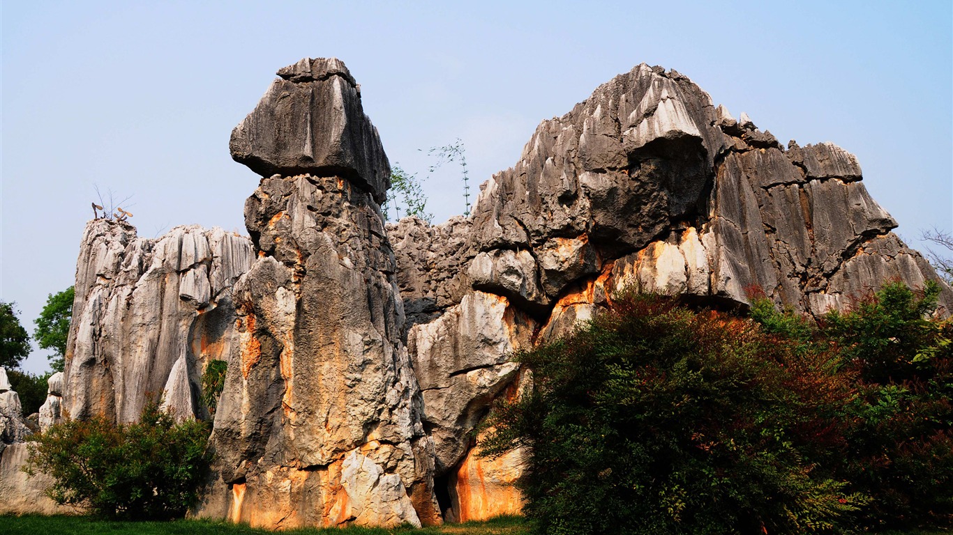 Каменный лес в провинции Юньнань линии (2) (работ киданей волка) #26 - 1366x768
