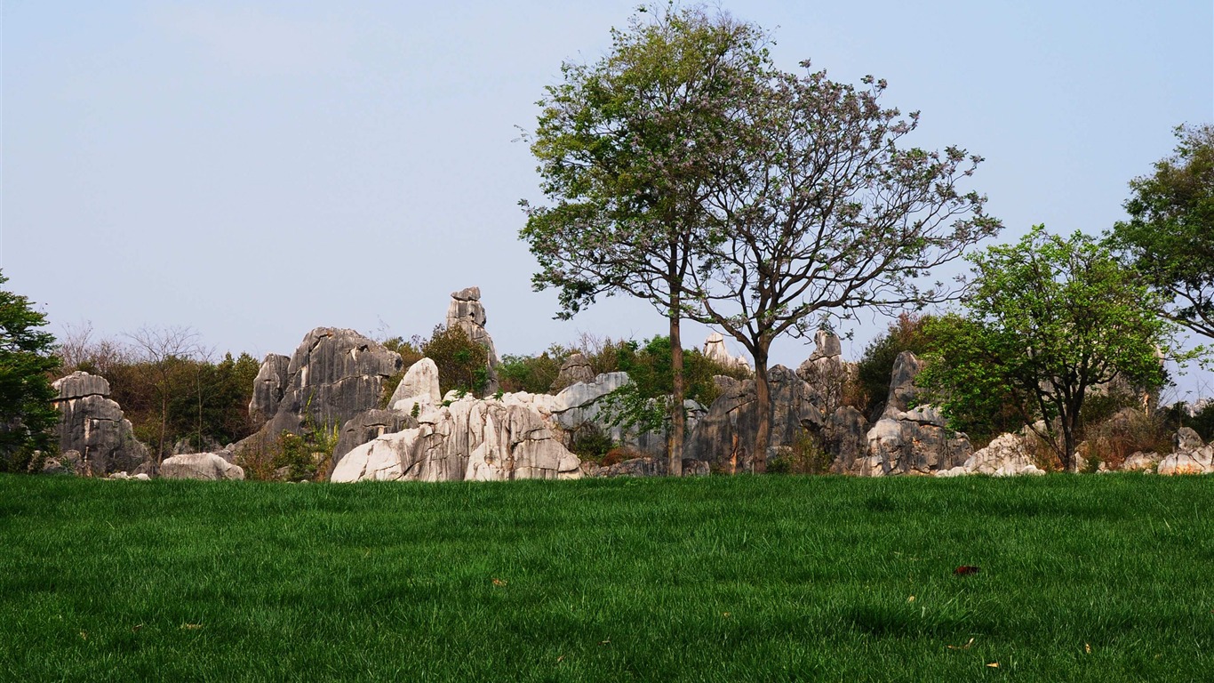 Каменный лес в провинции Юньнань линии (2) (работ киданей волка) #28 - 1366x768