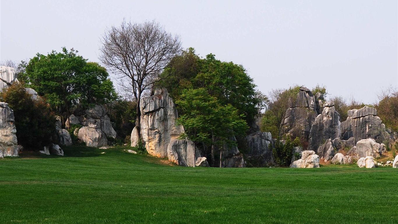 Каменный лес в провинции Юньнань линии (2) (работ киданей волка) #34 - 1366x768