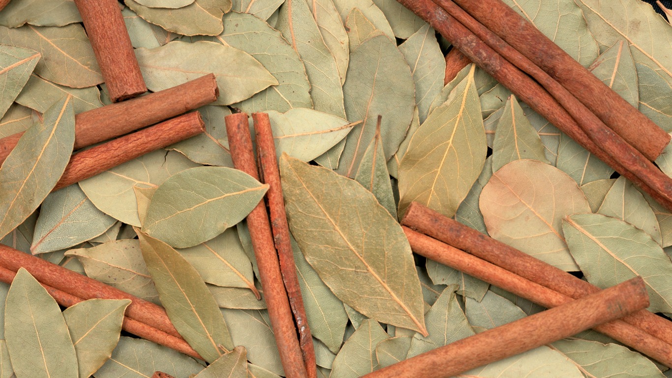 1680 fleurs vertes feuilles fond d'écran (5) #8 - 1366x768