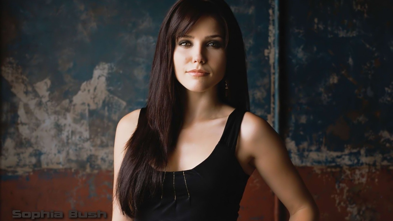 Sophia Bush beau fond d'écran #4 - 1366x768