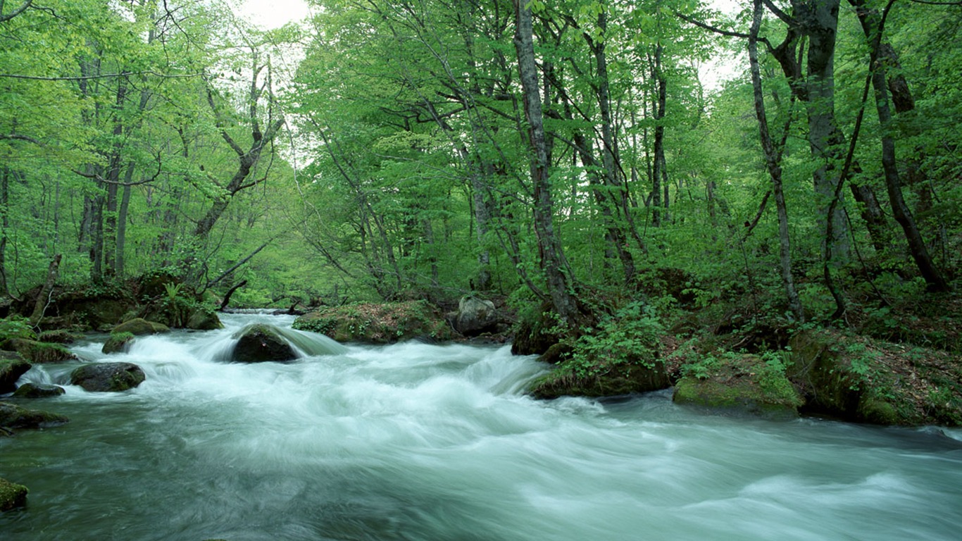 Waterfall streams wallpaper (2) #3 - 1366x768