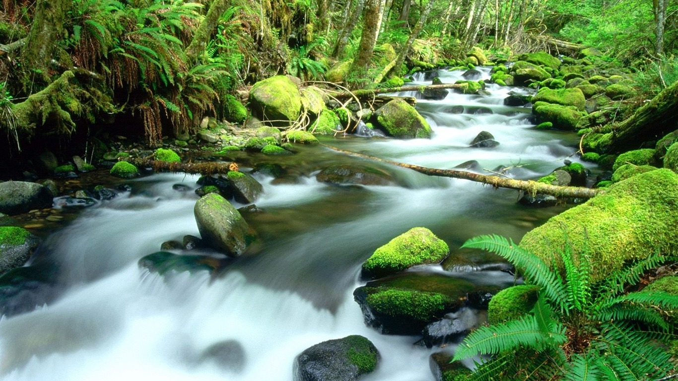 Waterfall streams wallpaper (3) #1 - 1366x768