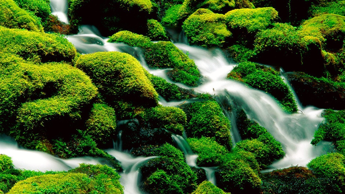 Waterfall-Streams Wallpaper (3) #10 - 1366x768