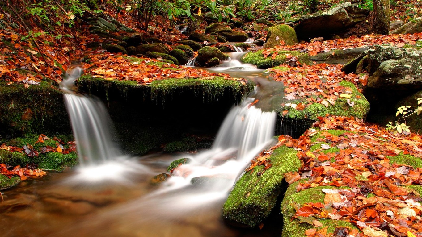 Waterfall streams wallpaper (3) #20 - 1366x768