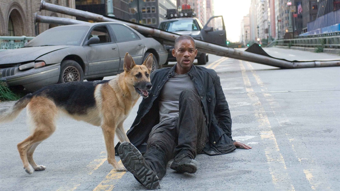 I Am Legend 我是传奇 高清壁纸2 - 1366x768