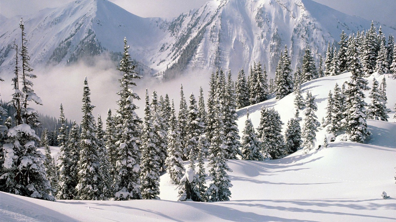 Snow widescreen wallpaper (1) #19 - 1366x768