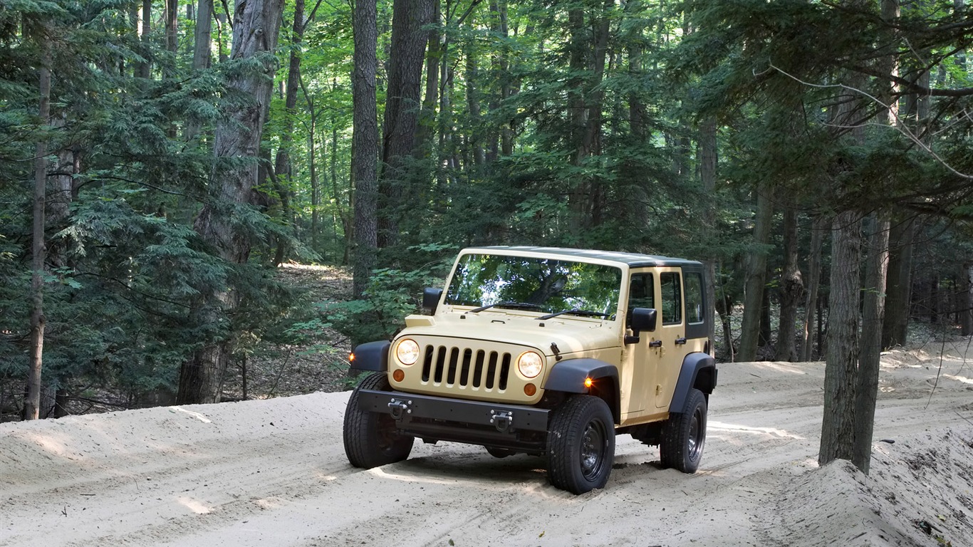 Jeep álbum de fondo de pantalla (2) #19 - 1366x768