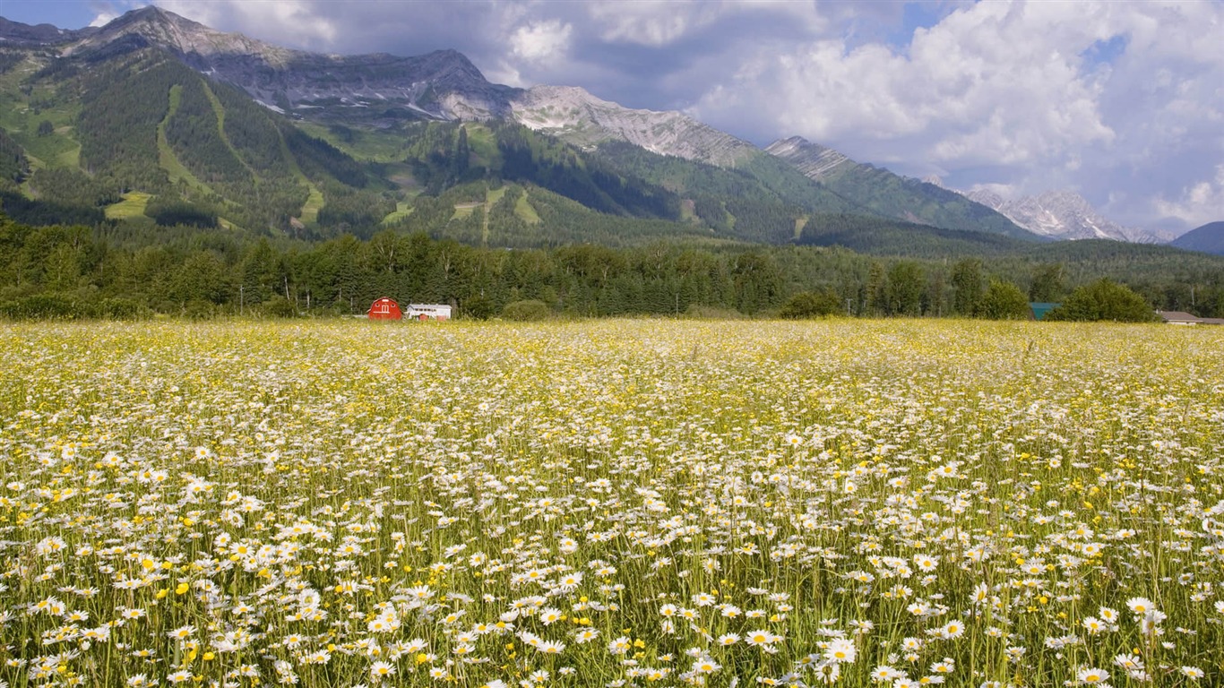 Tapety Krajina Kolekce (18) #3 - 1366x768