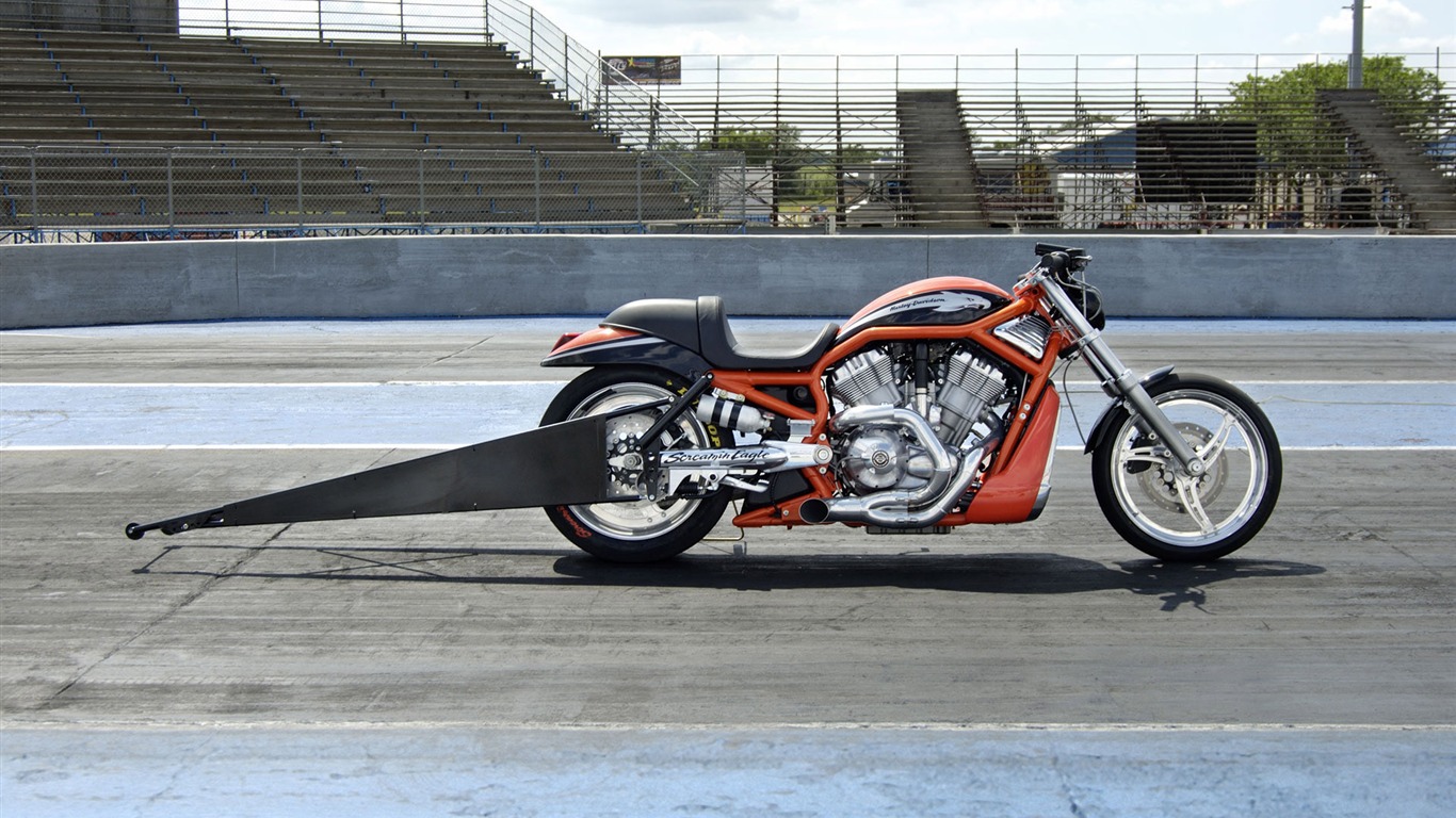 Harley-Davidson Wallpaper Album (2) #13 - 1366x768