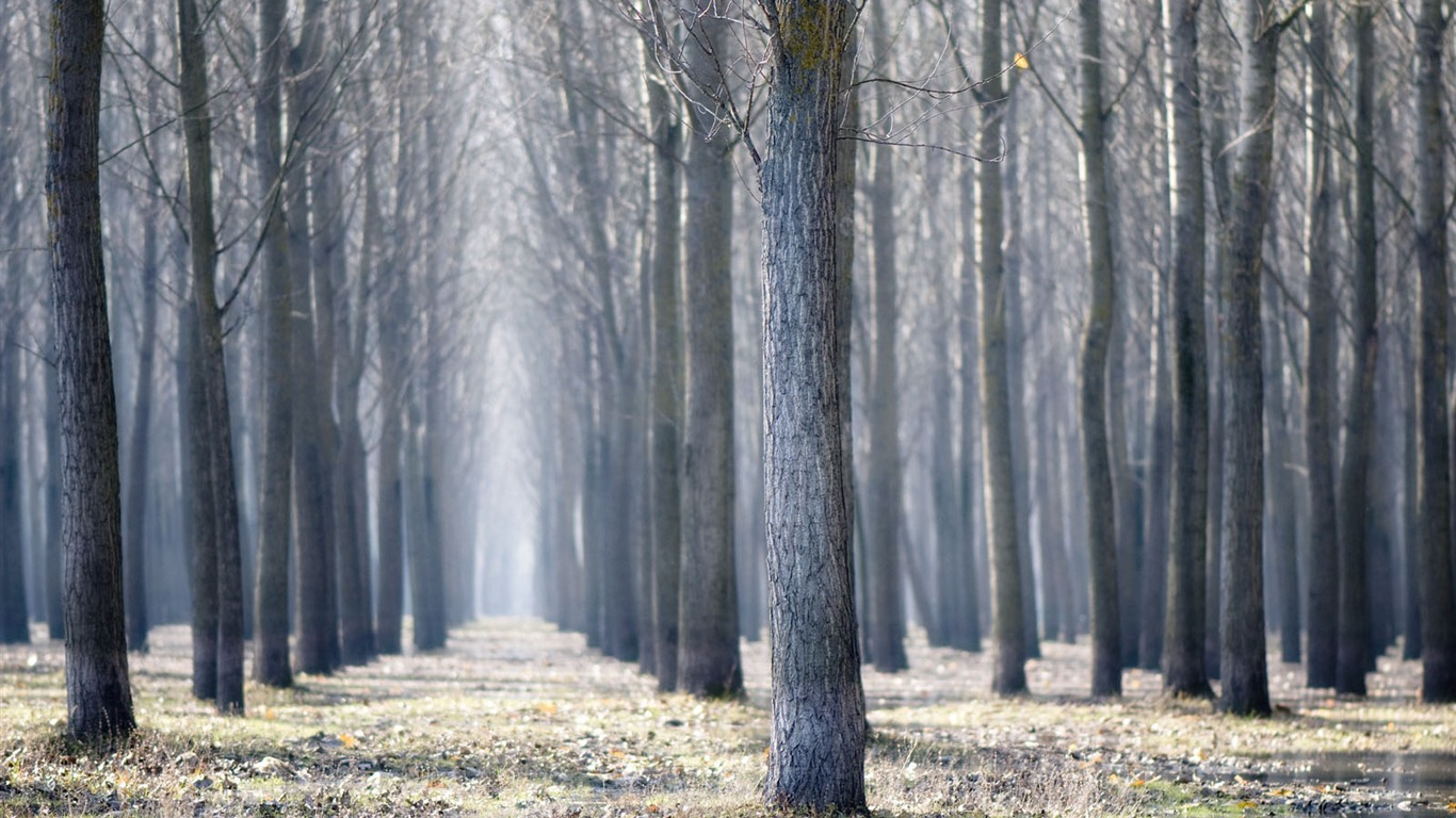 Tapeta Svět zeměpisných Krajina příspěvky (5) #2 - 1366x768