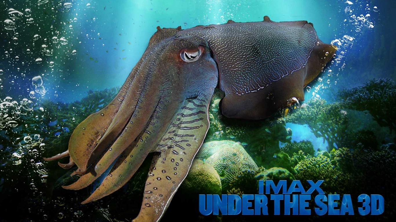 Under the Sea 3D 海底世界3D 高清壁紙 #47 - 1366x768