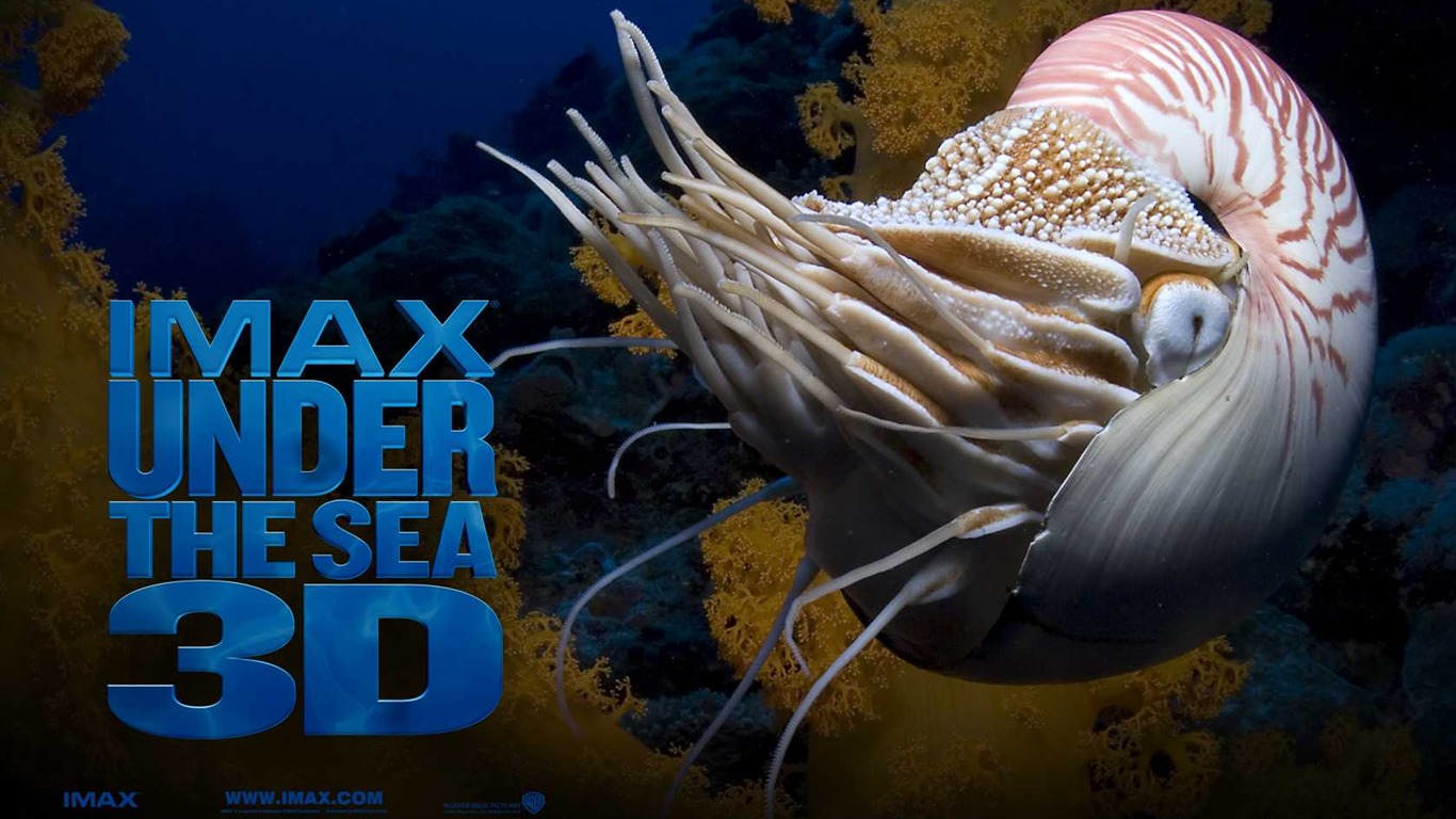 Under the Sea 3D 海底世界3D 高清壁纸49 - 1366x768
