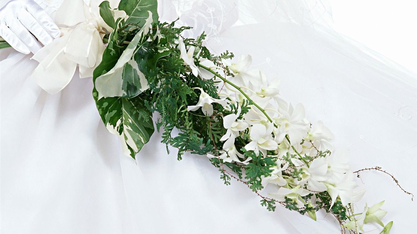 Hochzeiten und Blumen Wallpaper (2) #3 - 1366x768