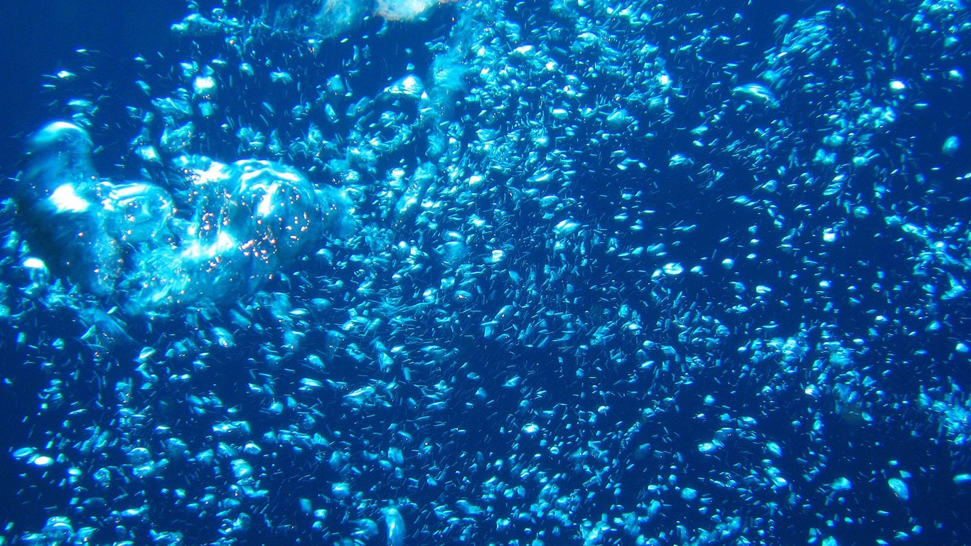 Zábava Underwater World (4) #23 - 1366x768