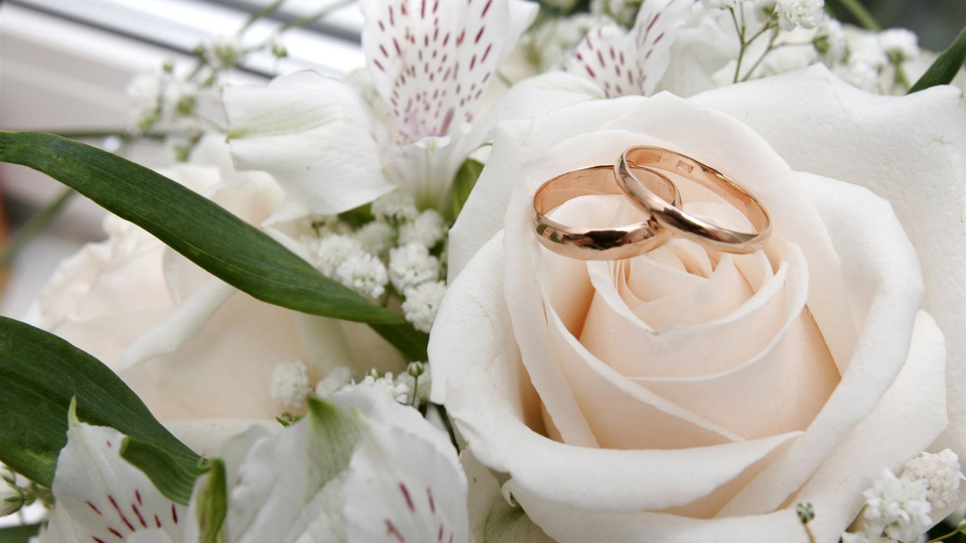 Свадьбы и свадебные кольца обои (1) #2 - 1366x768