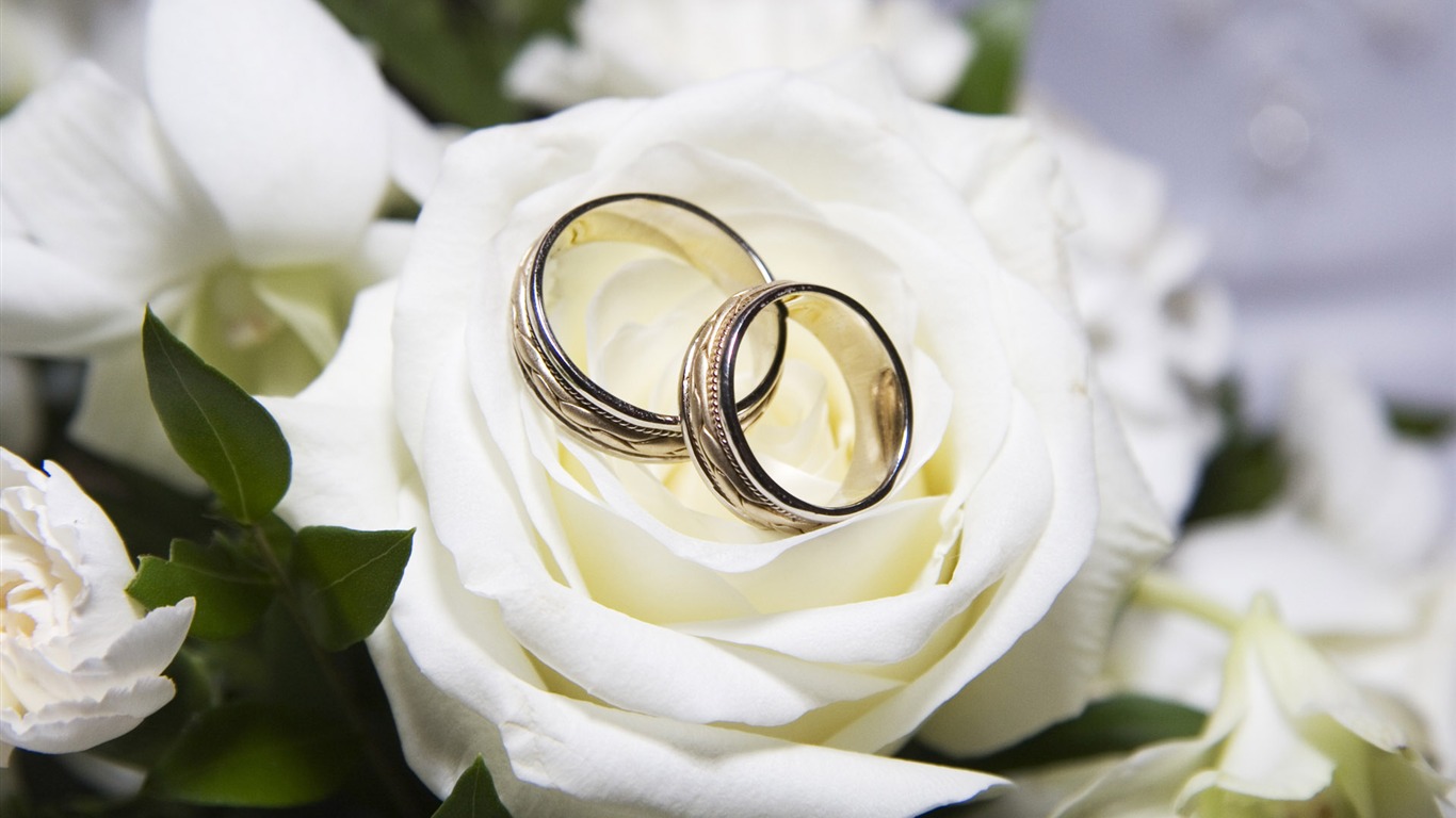 Свадьбы и свадебные кольца обои (1) #3 - 1366x768
