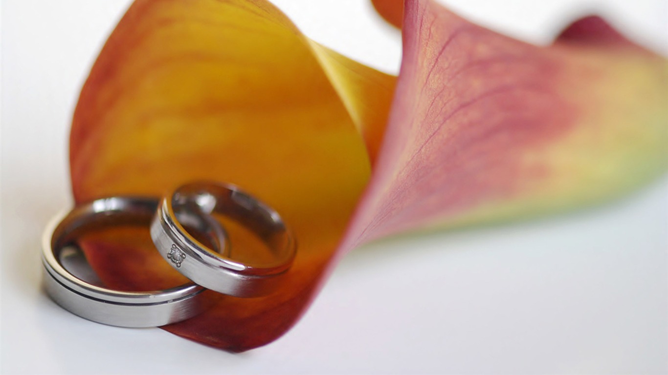 Svatby a svatební prsten tapety (1) #11 - 1366x768