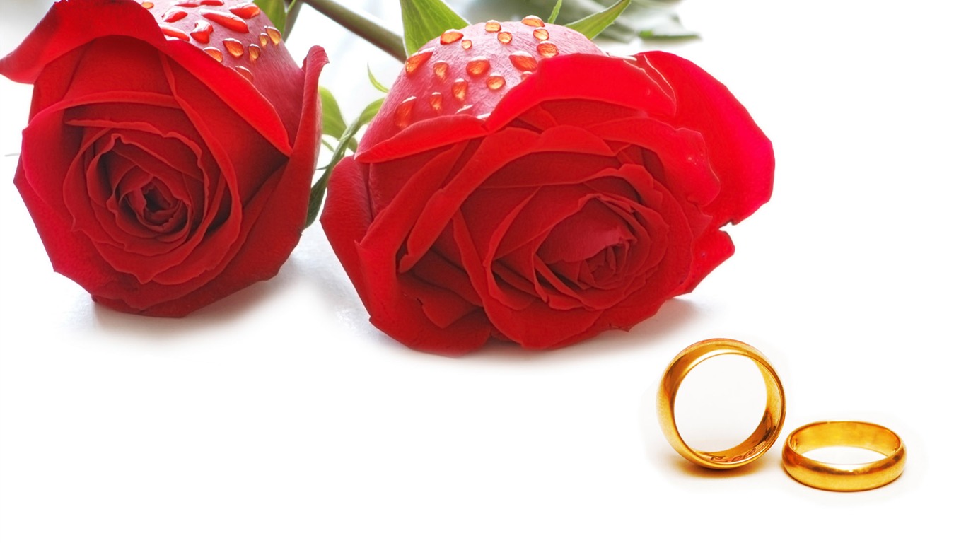 Свадьбы и свадебные кольца обои (1) #12 - 1366x768