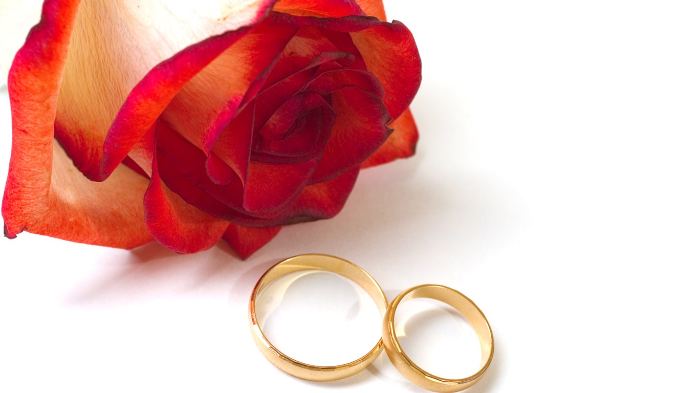 Свадьбы и свадебные кольца обои (2) #6 - 1366x768