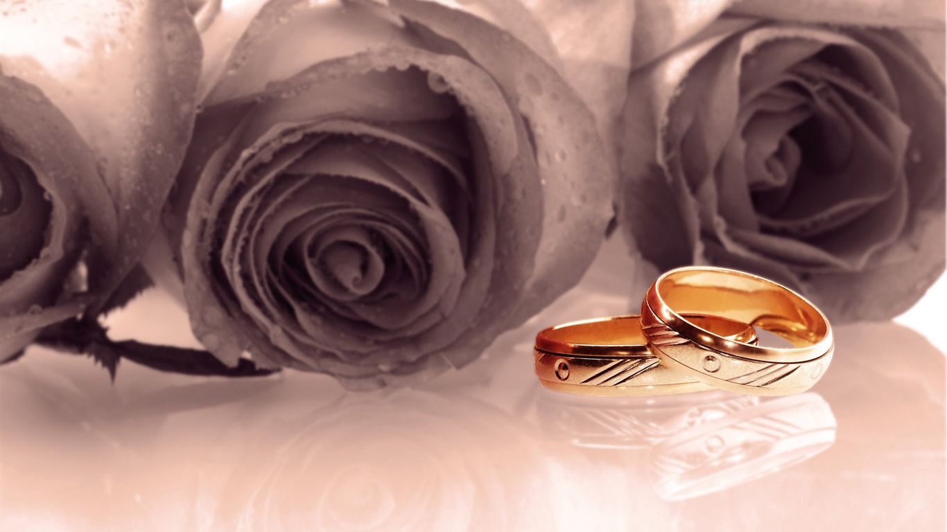 Bodas y fondos de escritorio de anillo de bodas (2) #10 - 1366x768