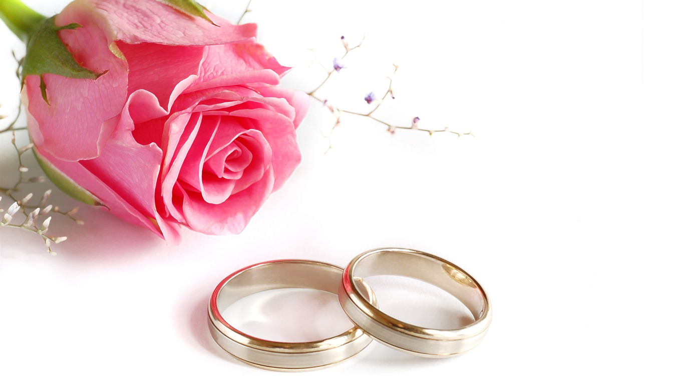 Bodas y fondos de escritorio de anillo de bodas (2) #12 - 1366x768